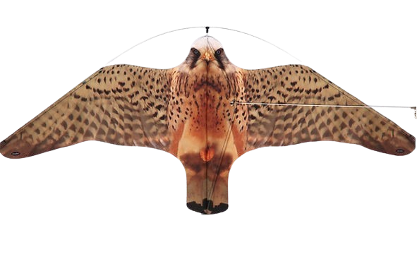 Quşlara Qarşı Mübarizədə Effektiv Həll: Quşqovan Eolo Hawk Texnologiyası