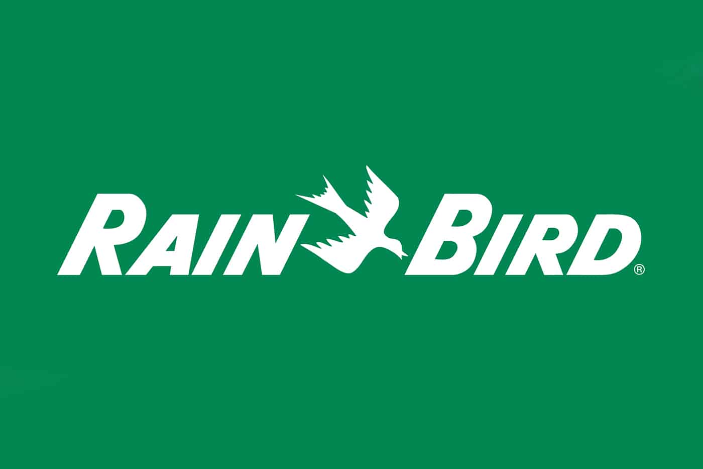 Dünəndən Bugünə - Rain Bird